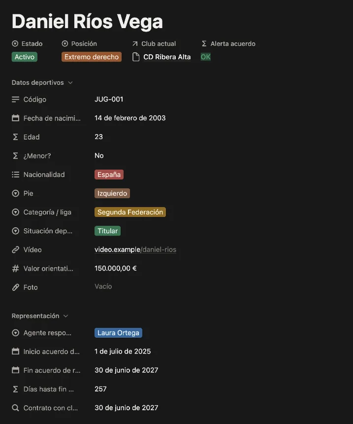 Ficha de un jugador en Notion