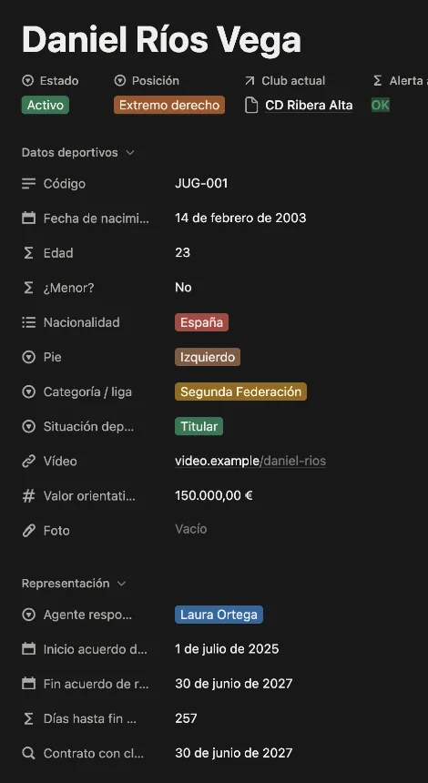 Ficha de un jugador en el CRM de Notion